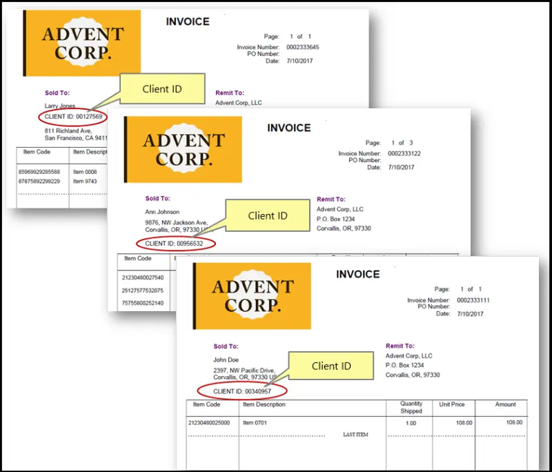 split-pdf-file-by-client-id-input-example